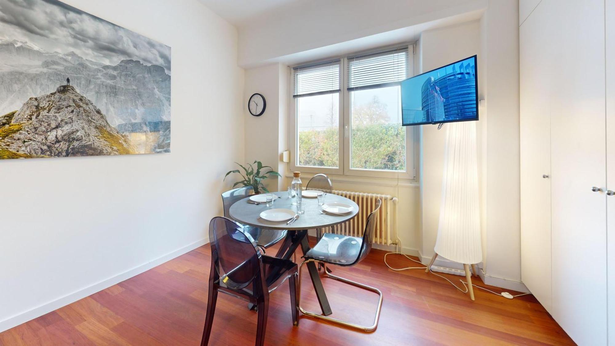 Les Appartements Du General Uhrich - Proche Parlement ストラスブール エクステリア 写真